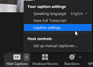 Captions settings in Zoom meeting