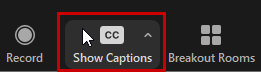 Show captions button in Zoom menu